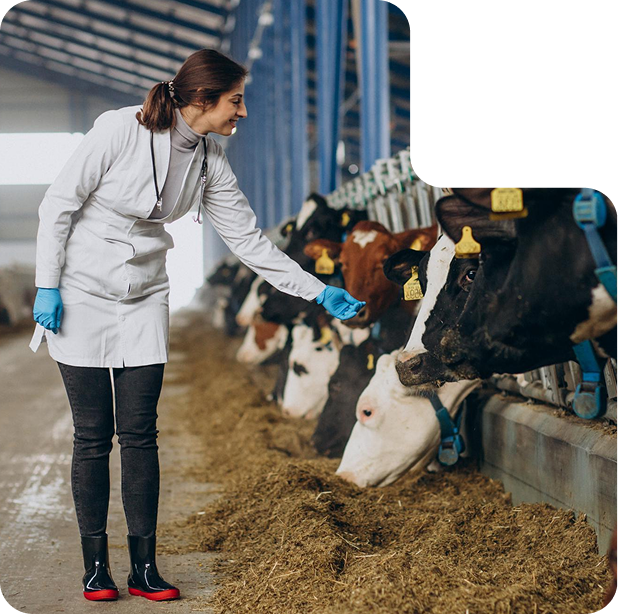 Producteur agricole