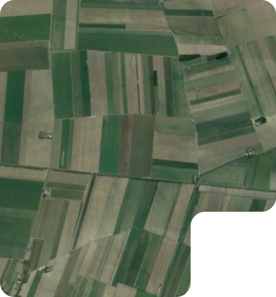 Cartographie des parcelles