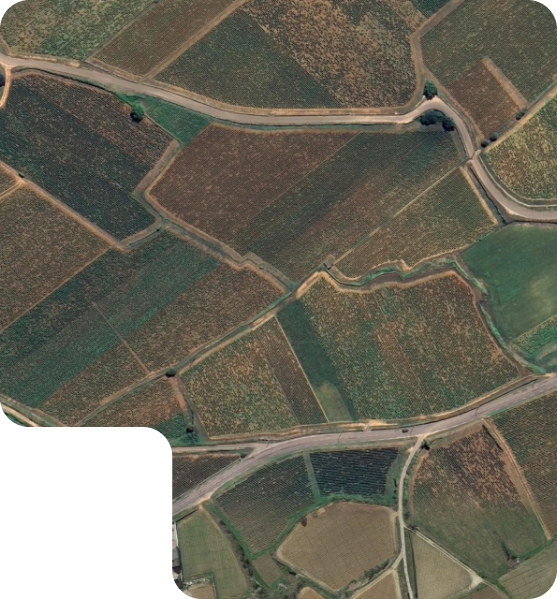 Études qualitatives sur le terrain
